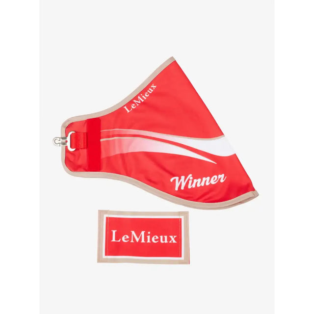 Red lemieux hobby horse winners rug red with white branding and silver metal d-ring attachment on horse winners rug