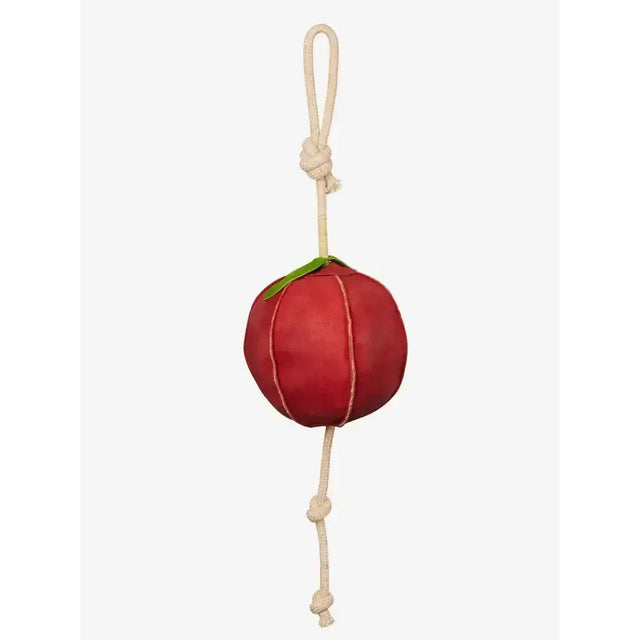 Red fabric lemieux horse toy apple with green leaf top and beige natural husk rope handle pet toy
