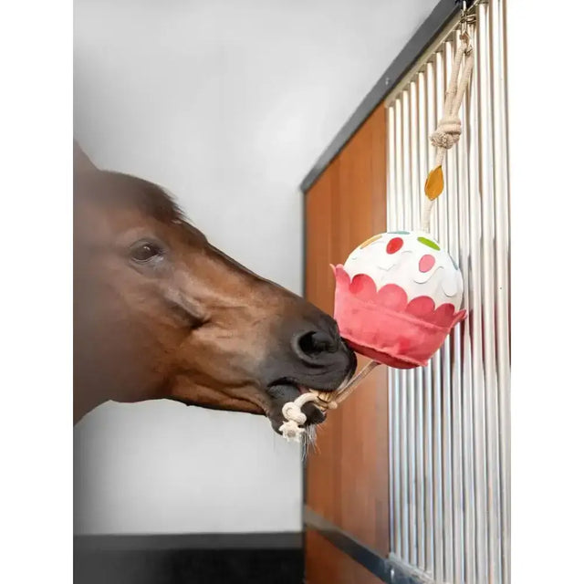 A whimsical pink and white lemieux horse toy cupcake with colorful polka dots made from natural husk hanging from a rope