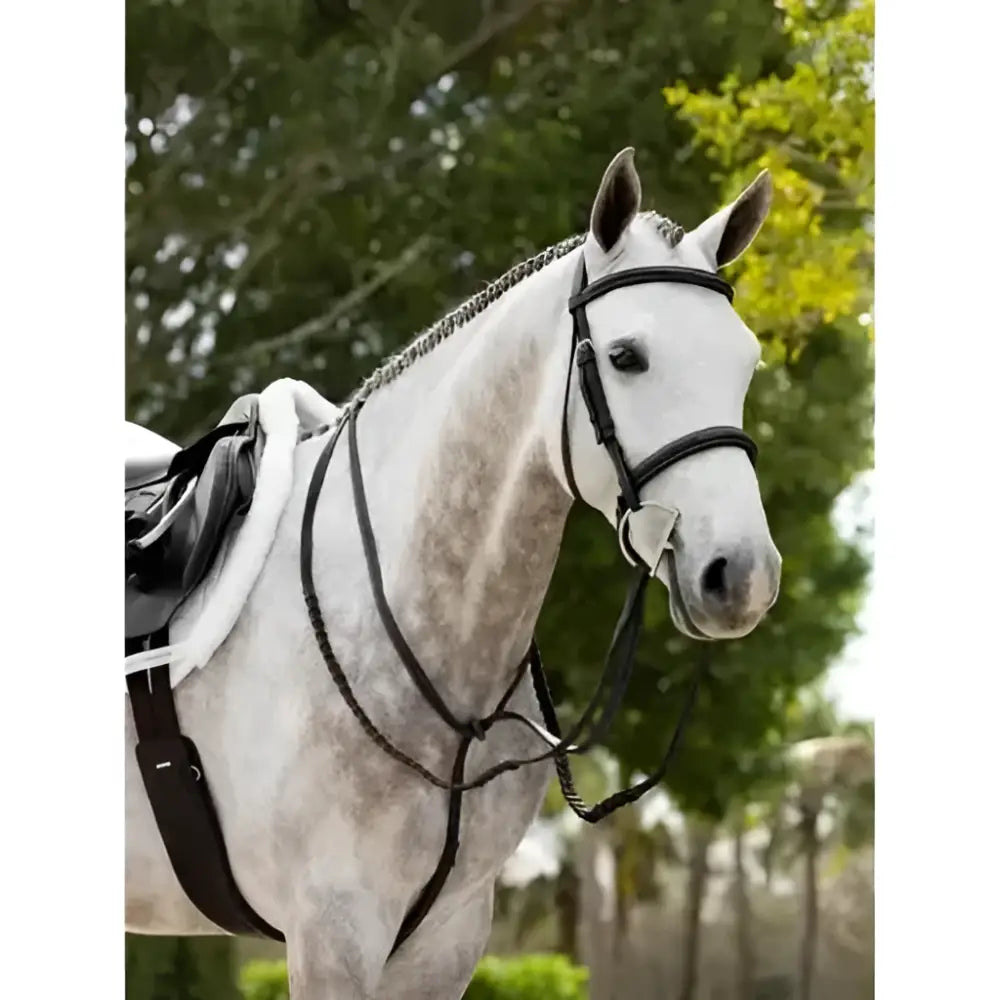 Black leather lemieux hunter standing martingale with silver hardware perfect for hunter riding