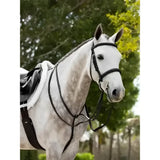 Black leather lemieux hunter standing martingale with silver hardware perfect for hunter riding