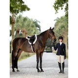 A sleek dark brown horse with glossy coat wearing a lemieux hunter standing martingale in havana silver designed for hunter discipline
