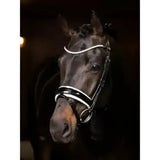 Black horse wearing lemieux ice crystal browband in white and silver with pearl embellishments crystal browband black