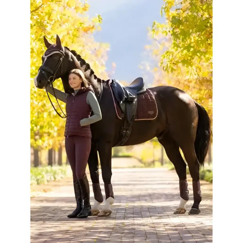 A dark brown horse wearing an elegant saddle and bridle next to lemieux isabelle damson seat breeches for equestrian use