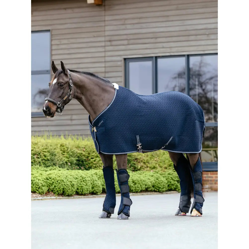 Navy blue lemieux kudos mesh travel rug with quilted design white trim silver buckles and removable protective tail