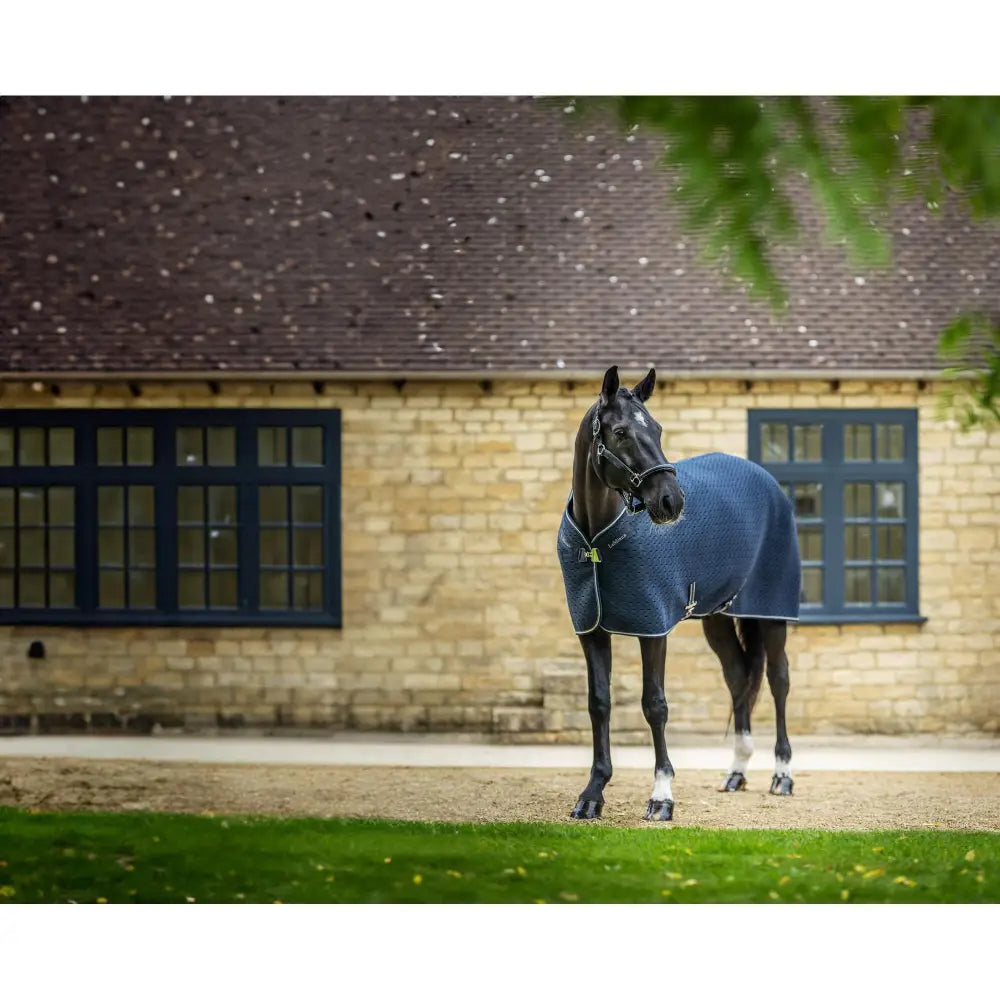 A navy lemieux kudos mesh travel rug with white trim and green buckle snugly covers a black horse with removable protective tail