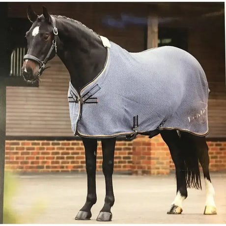 Light blue lemieux kudos bamboo cooler horse blanket with stylish hexagonal pattern black trim and silver hardware