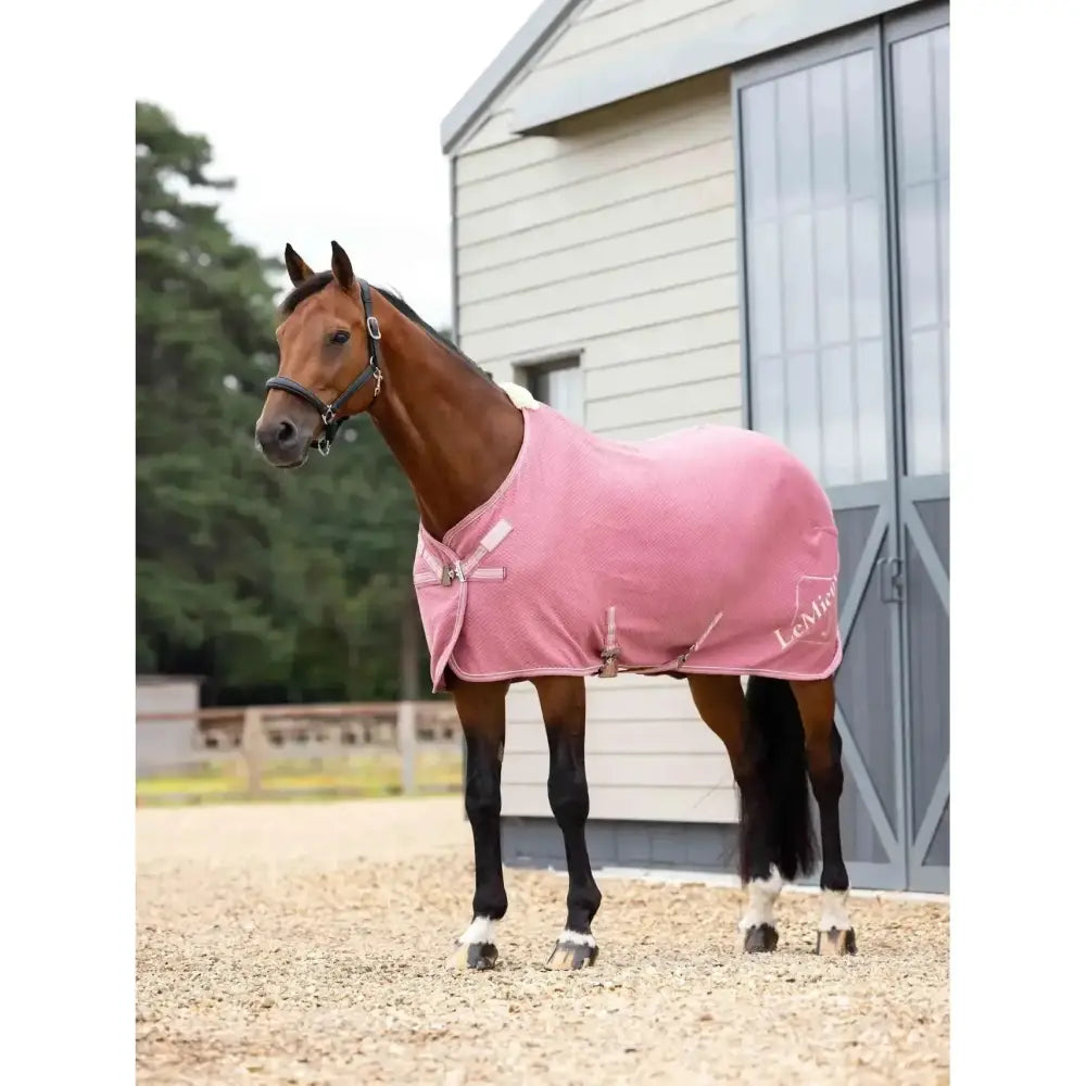 Pink lemieux kudos bamboo cooler peony horse blanket with soft fleece texture and silver metal buckles