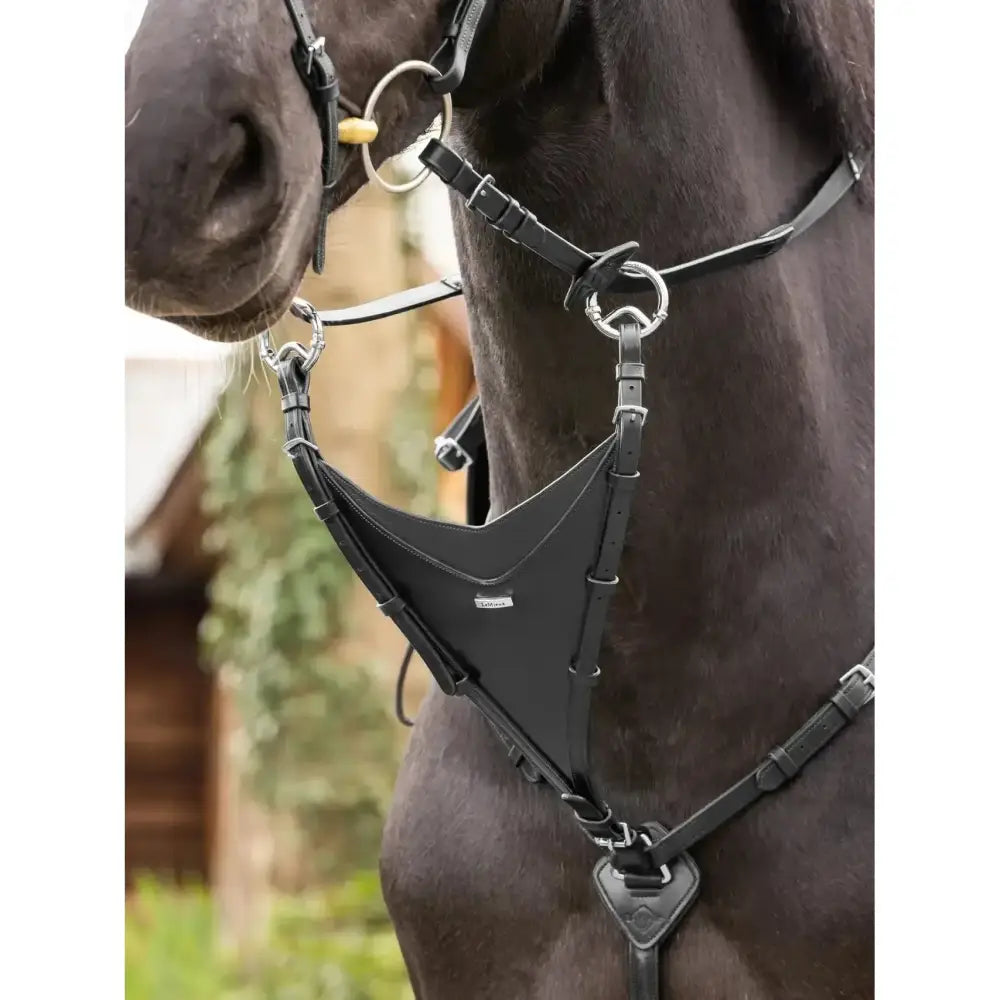 Black leather horse halter with silver rings and buckles for lemieux kudos bib martingale attachment black silver