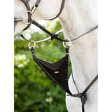 Black leather horse halter with gold-toned rings and buckle details lemieux kudos bib martingale attachment brass brown