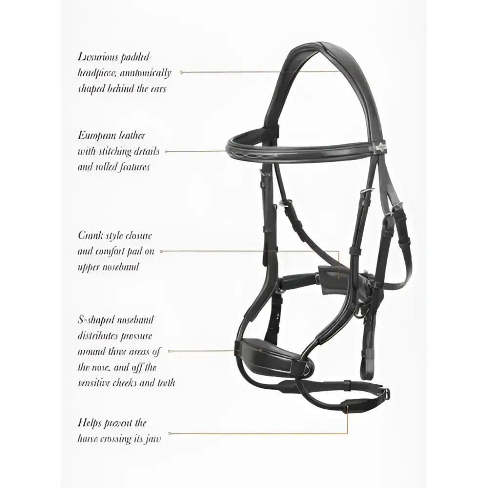 Black european leather horse bridle with stitched details and rolled features lemieux kudos black clear arc bridle