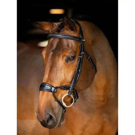 Black leather lemieux kudos clear arc bridle with silver hardware and decorative stitching for riding use