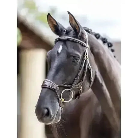LeMieux Kudos Clear Arc Bridle Havana/Brass Pony Havana/Brass Bridles
