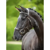 Black horse wearing lemieux kudos clear arc bridle havana brass with silver stitching and metal hardware