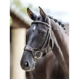 Black horse wearing lemieux kudos clear arc bridle havana brass with sleek dark brown leather and polished brass hardware