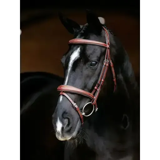 LeMieux Kudos Competition Flash Bridle Chestnut Chestnut Pony Flash Bridles