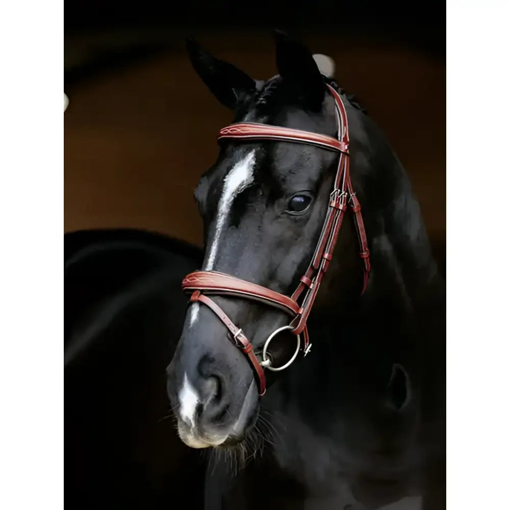 A sleek black horse wearing a lemieux kudos competition flash bridle chestnut made of reddish brown leather with silver hardware