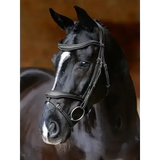 LeMieux Kudos Contour Flash Bridle Black Black Pony Flash Bridles