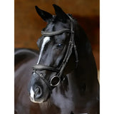 Black horse wearing lemieux kudos contour flash bridle in black leather with detachable flash and silver hardware