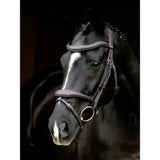 Black horse wearing a brown leather lemieux kudos contour flash bridle with silver hardware close up