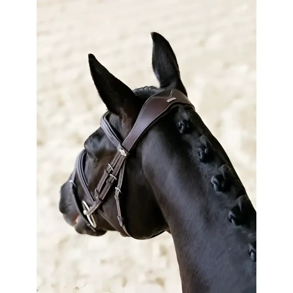 Dark brown leather lemieux kudos contour flash bridle with silver hardware for stylish riding use