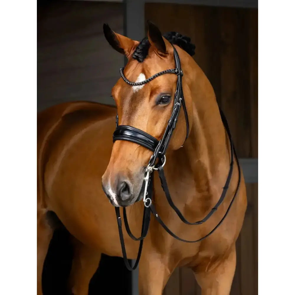 Black LeMieux Kudos double bridle in high-quality pre-oiled italian leather with braided chain and gel-padded headpiece