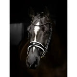 Black horse wearing lemieux kudos double bridle in black and white high-quality pre-oiled italian leather silver detail