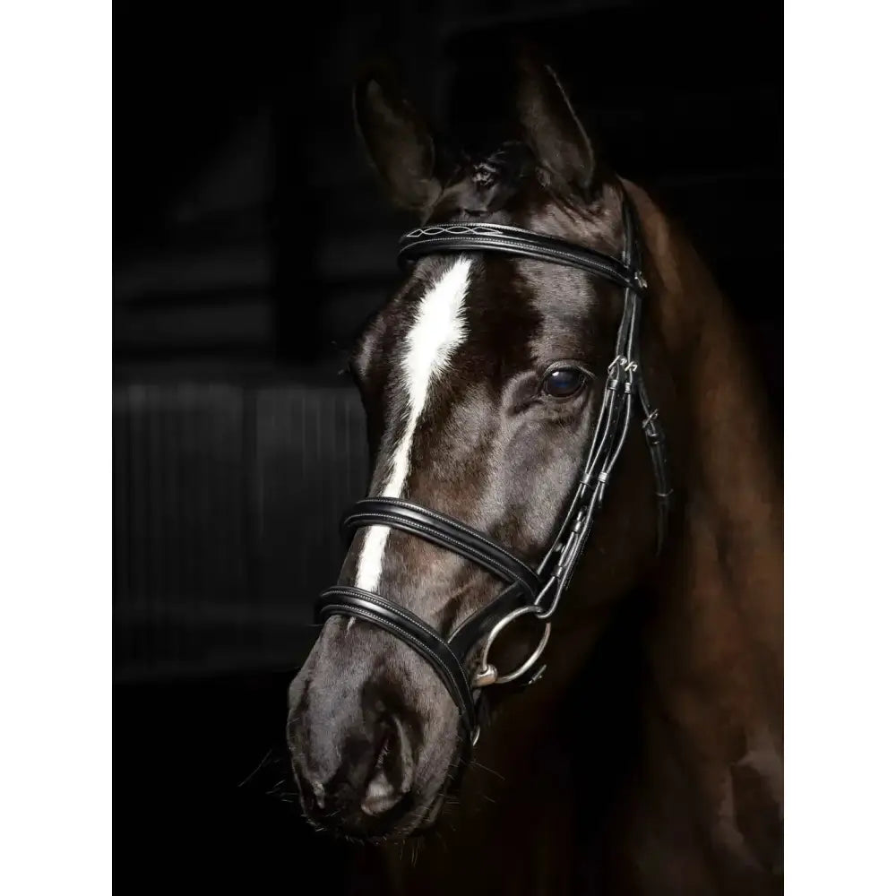 Black leather kudos double noseband bridle with silver hardware and white stripe down the horse’s face