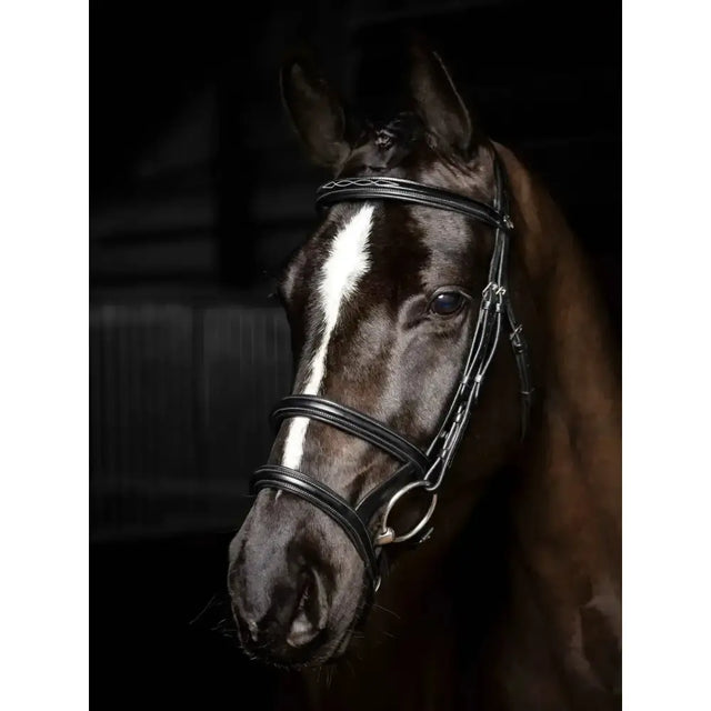 Black leather kudos double noseband bridle with silver hardware and white stripe down the horse’s face
