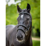 Black horse wearing a sleek lemieux kudos double noseband bridle black silver with a white star marking on forehead