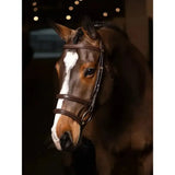 Brown leather lemieux kudos double noseband bridle with braided detailing and brass silver hardware in havana color