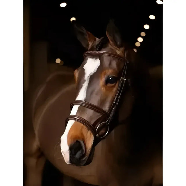 A dark brown horse wearing a lemieux kudos double noseband bridle in havana leather with brass fittings