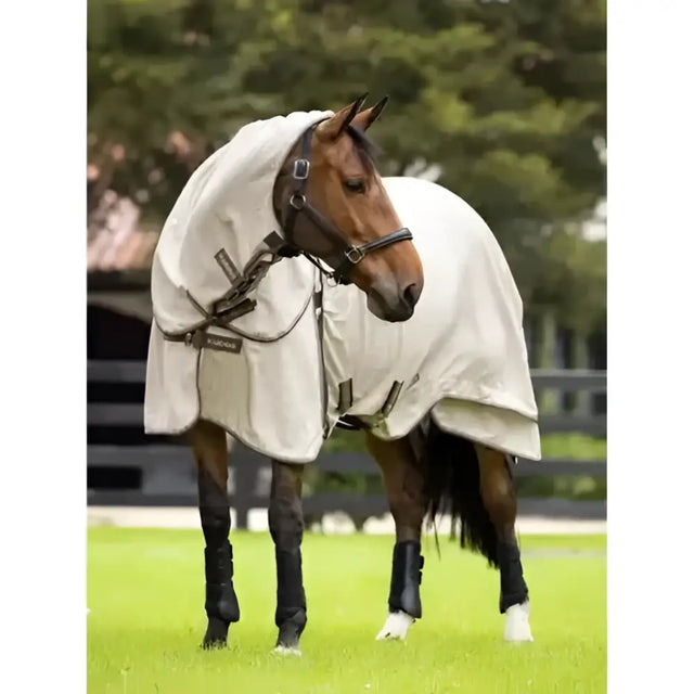A cream kudos field rug from lemieux kudo made of durable polycotton with black straps and buckles