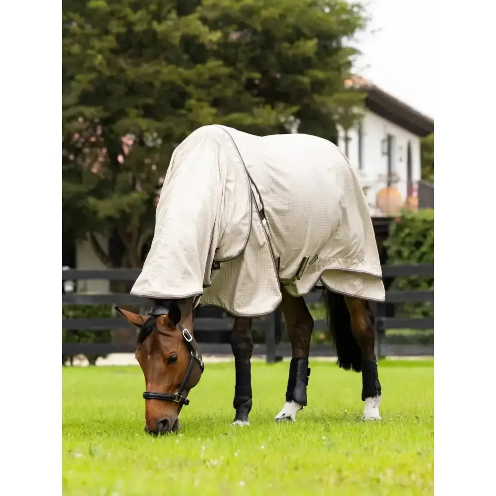 Beige lemieux kudos field rug stone with black straps and adjustable buckles made of durable polycotton