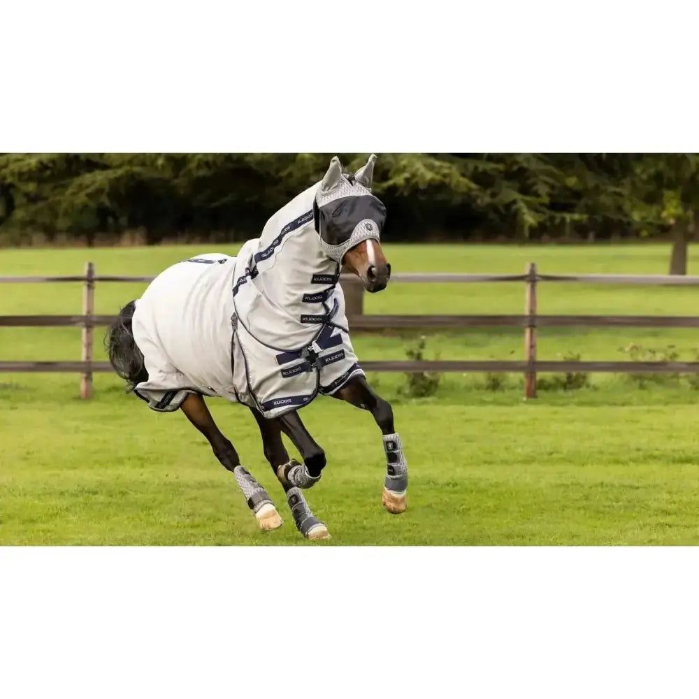 LeMieux Kudos Gladiator Fly Rug 5'6" Fly Rugs Barnstaple Equestrian Supplies