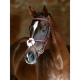 Brown horse wearing a red leather lemieux kudos grackle bridle with white decorative noseband in chestnut color
