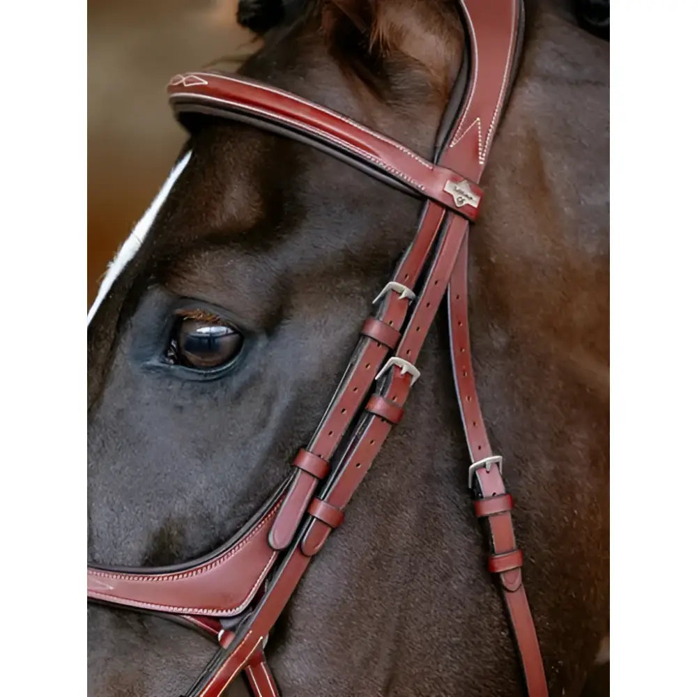 Brown leather lemieux kudos grackle bridle chestnut with silver hardware and stitched detailing for riding use