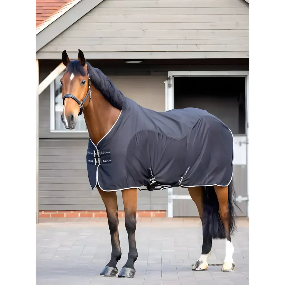 Lemieux Kudos Hybrid Cooler Black 5'6" Black Cooler Rugs