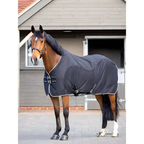 Lemieux Kudos Hybrid Cooler Black 5'6" Black Cooler Rugs