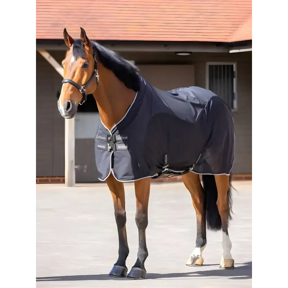 Lemieux Kudos Hybrid Cooler Black 5'6" Black Cooler Rugs