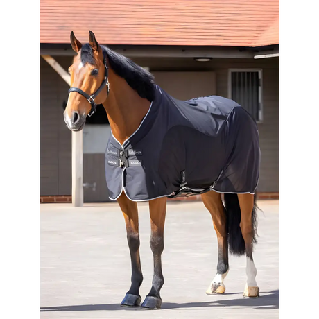 Bay horse in dark blue blanket and halter showcasing Lemieux Kudos Hybrid Cooler Black