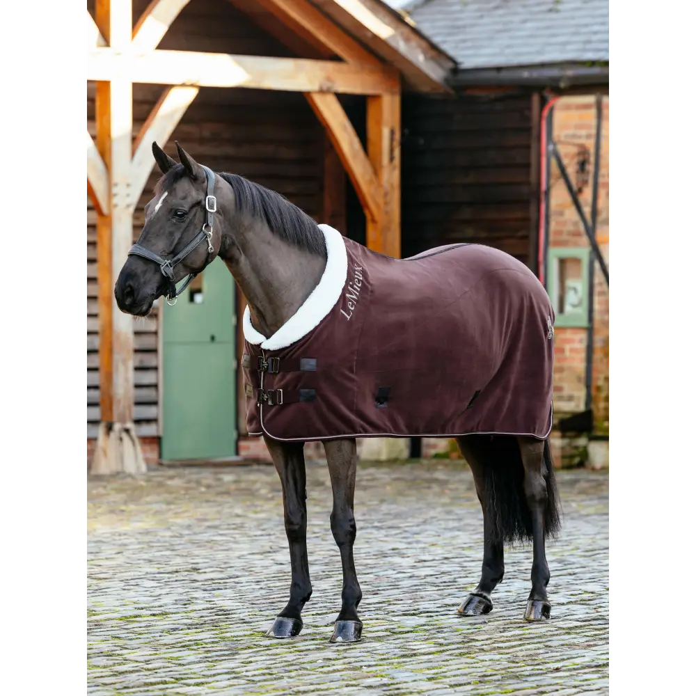 Lemieux Kudos Luxe Fleece Rug Damson Damson 5'6" Fleece Rugs