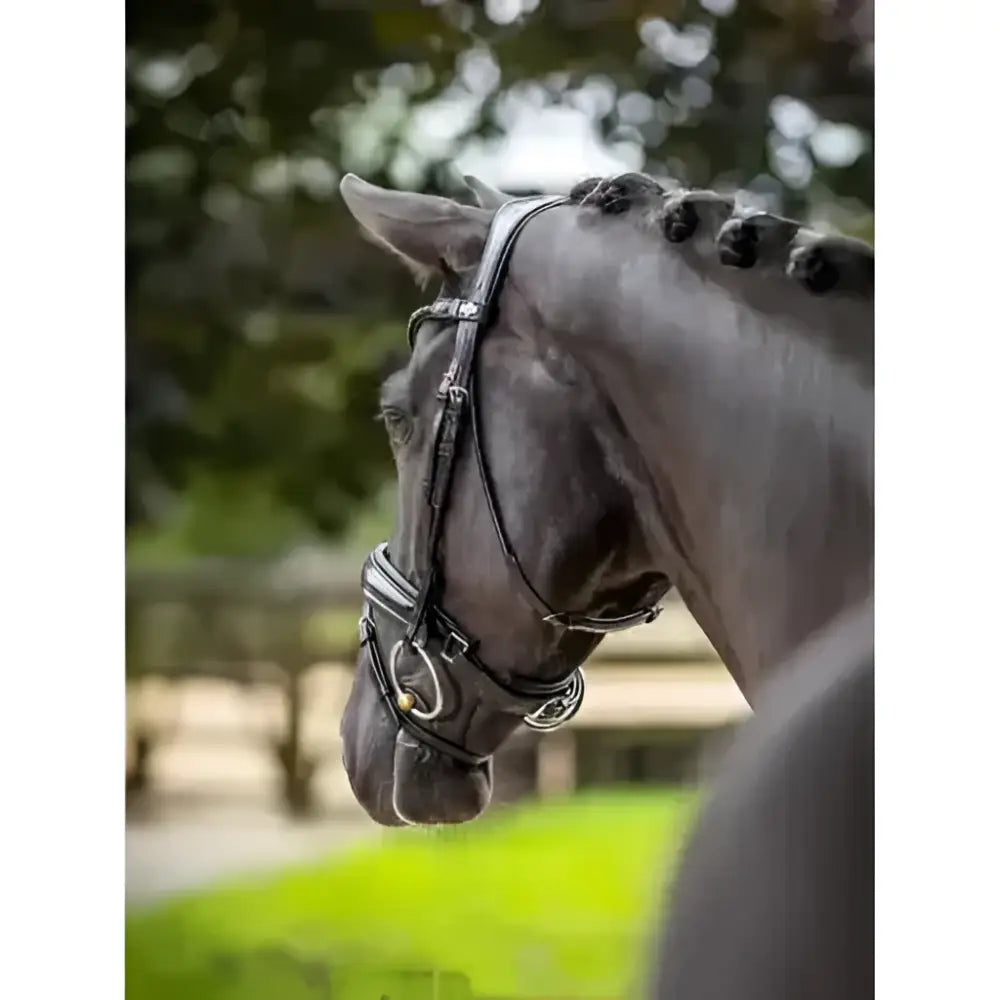 Black leather lemieux kudos patent dressage bridle with silver hardware and braided mane made from premium pre-oiled italian leather