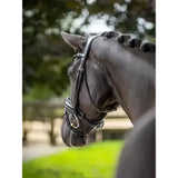 Black leather lemieux kudos patent dressage bridle with silver hardware and braided mane made from premium pre-oiled italian leather