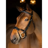 Black leather lemieux kudos patent dressage bridle brown with premium pre-oiled italian leather and gold hardware