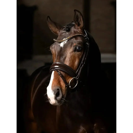 Brown horse wearing lemieux kudos patent dressage bridle brown with premium pre-oiled italian leather and gold studs