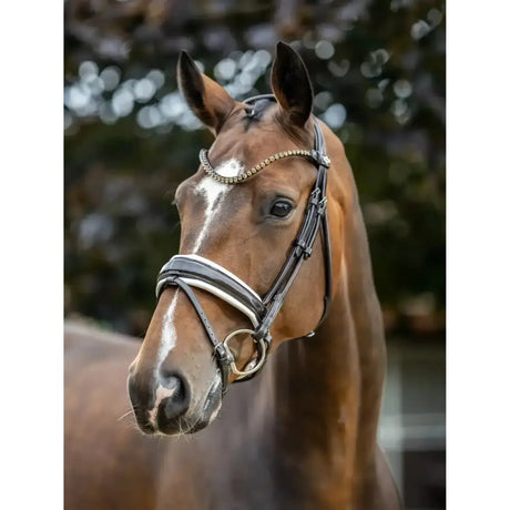 Brown horse wearing lemieux kudos patent dressage bridle in brown with silver and gold beaded browband