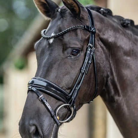 Black glossy leather lemieux kudos patent rolled dressage bridle with silver hardware and padded headpiece