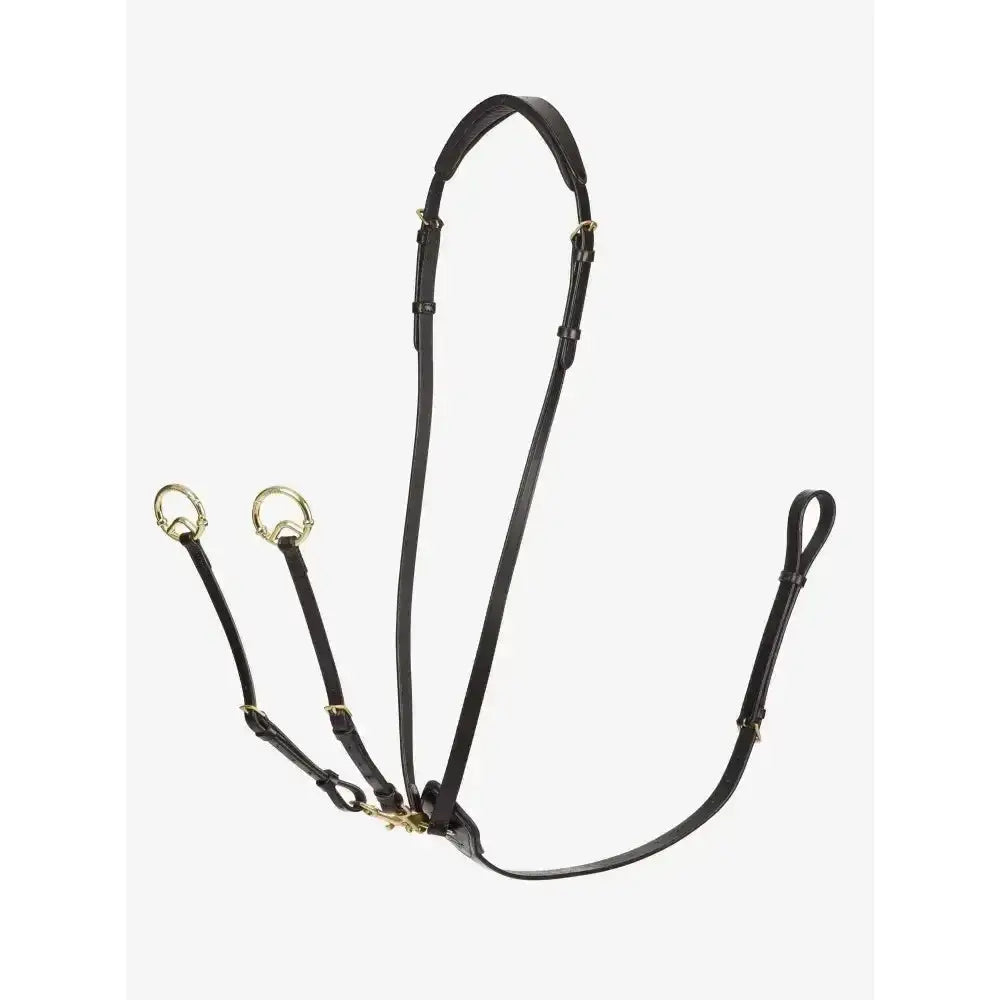 Black leather horse bridle with gold hardware and adjustable straps from lemieux kudos running martingale range