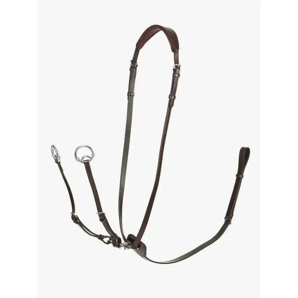 Brown leather horse bridle with silver hardware from lemieux kudos running martingale for horse riding wardrobe